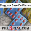 Dragon À Base De Plantes 05